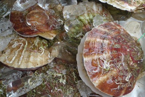 c0177576_0153266.jpg