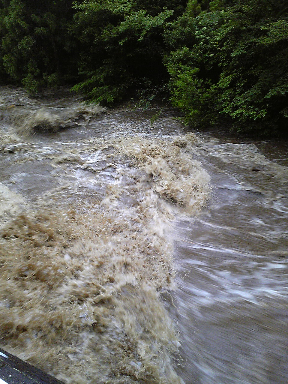 a0095980_11475279.jpg