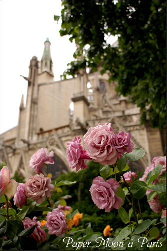 Paris 2009　6ème jour　シテ島のシンボル　【Cathédrale Notre-Dame de Paris】_a0121482_1873578.jpg