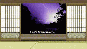 c0129682_1533100.gif