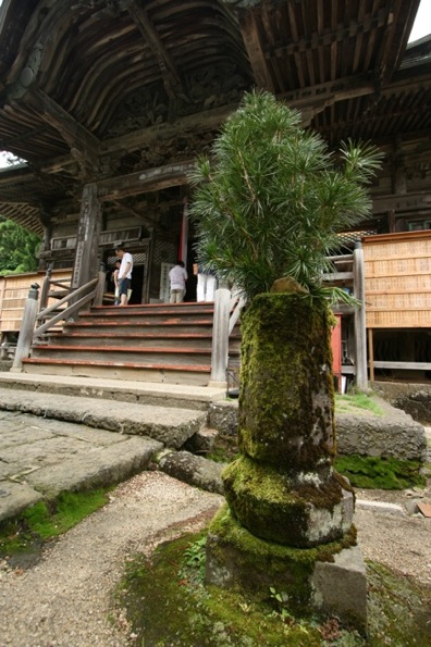 d0097288_1145652.jpg