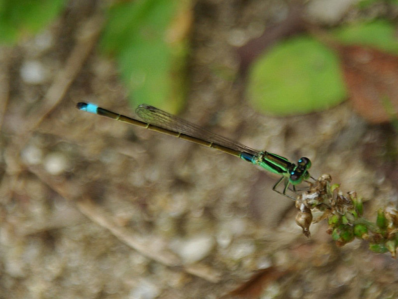 f0204094_11152727.jpg