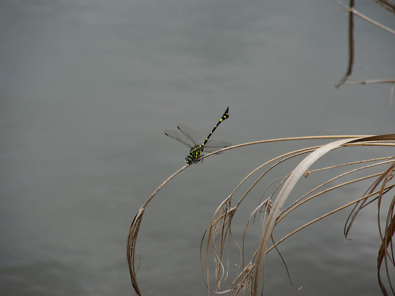 f0204094_11512279.jpg