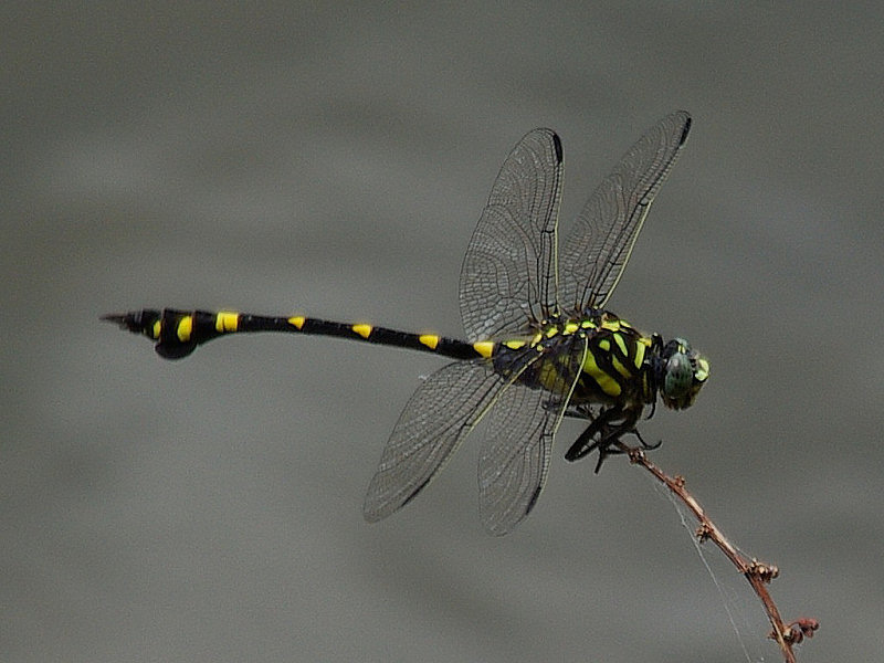 f0204094_11521041.jpg
