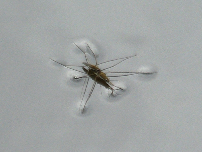 f0204094_12305520.jpg