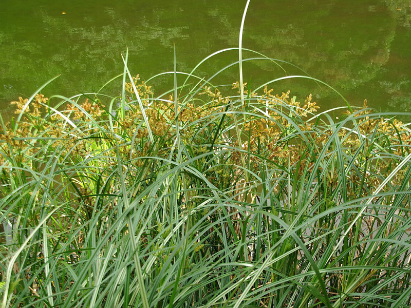 f0204094_187722.jpg