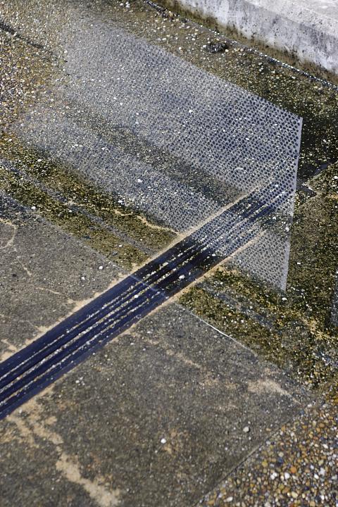 d0069495_0235539.jpg
