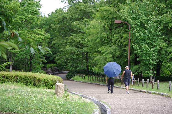d0069495_0251149.jpg
