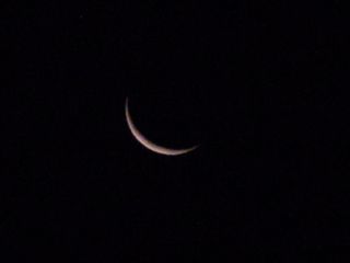 d0010496_1194024.jpg