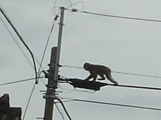 e0143298_19404313.jpg