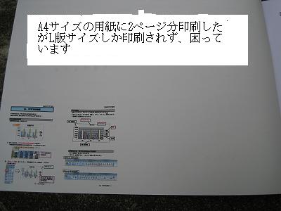 d0090001_2381412.jpg