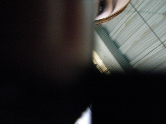 a0050302_64360.jpg