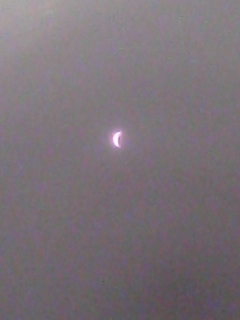d0147502_2305528.jpg