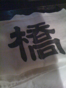 祇園祭 山鉾巡行スナップ_c0141005_2135287.jpg