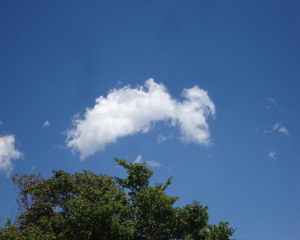 f0084806_9315758.jpg