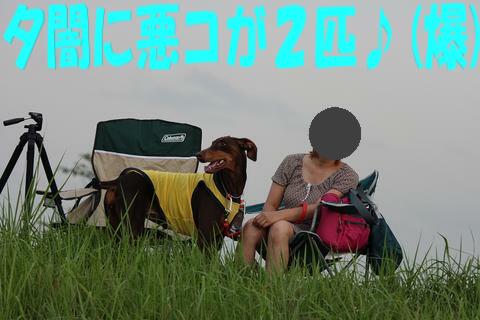 e0100007_20514663.jpg