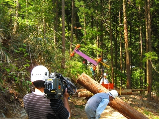 森林問題の解決策(妙案・ＮＨＫ)_a0051612_794055.jpg