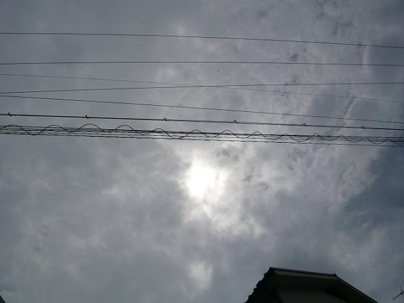 f0163116_22512663.jpg