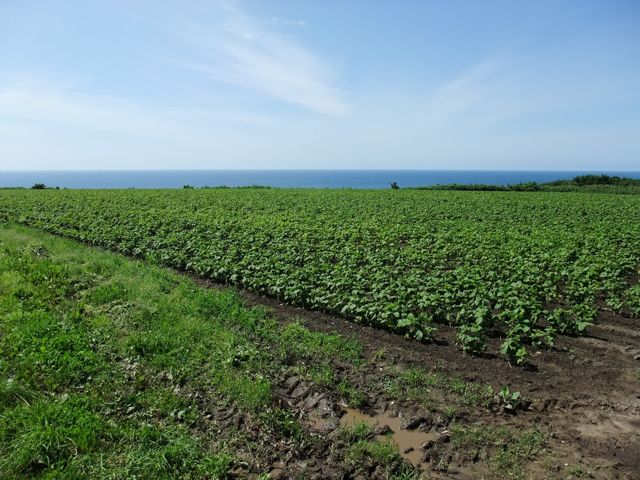 a0084221_23171969.jpg