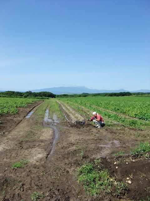 a0084221_2317991.jpg