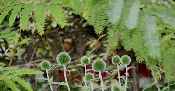 f0170524_12495426.jpg