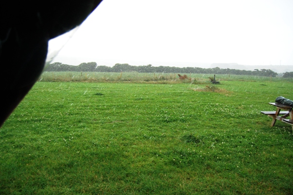 d0104926_2431677.jpg