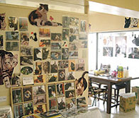 『うめぐみ写真展 3』は終了いたしました。_f0138928_955510.jpg
