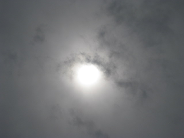 d0143729_2342936.jpg