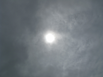 f0045630_1129496.jpg