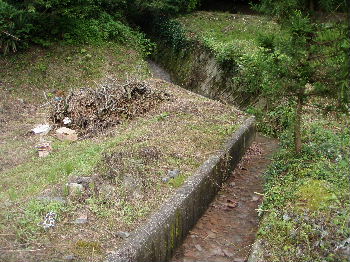 a0054240_2113244.jpg