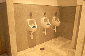 e0034141_1947287.gif