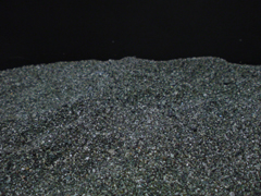 e0005548_13478.jpg