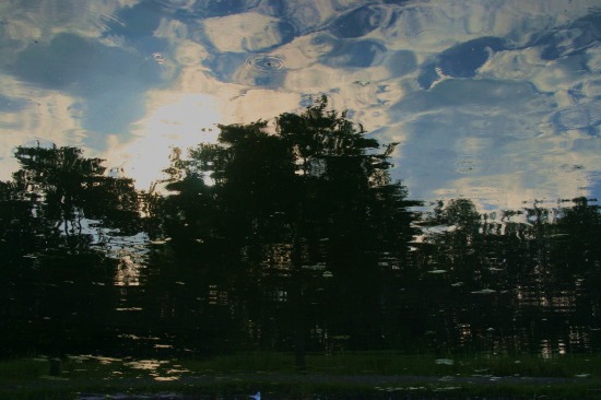 e0126350_0405792.jpg