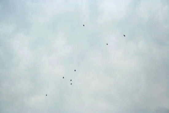 e0126350_2337278.jpg