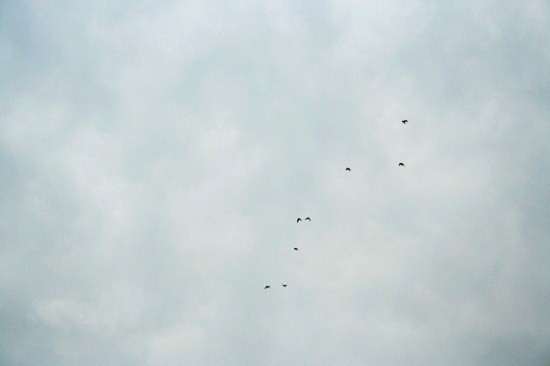 e0126350_23374163.jpg