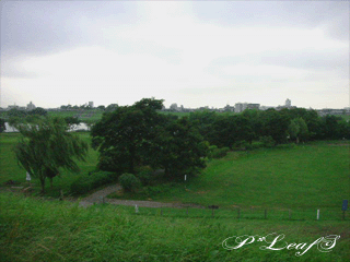 c0176651_23442757.gif