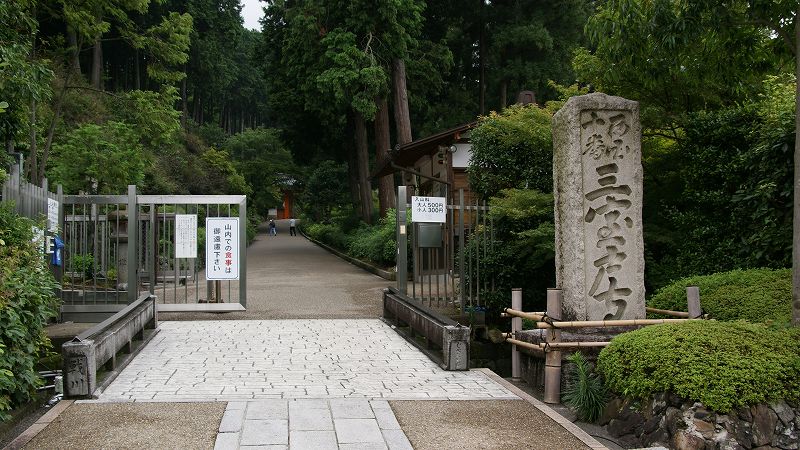 蓮 （宇治 三室戸寺 ）  (2009年07月24日)_c0119555_23272348.jpg