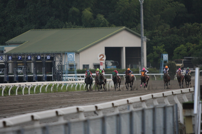 2009年7月18日（土） 高知競馬 10R 一発逆転 ファイナルレース D7 記者選抜 レース_a0077663_19342715.jpg