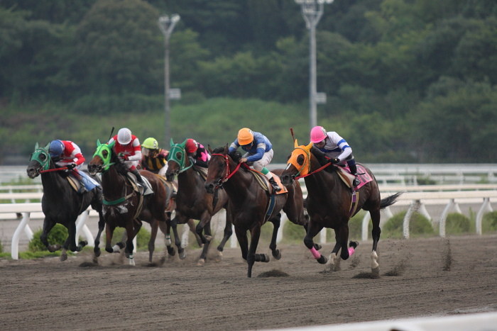 2009年7月18日（土） 高知競馬 10R 一発逆転 ファイナルレース D7 記者選抜 レース_a0077663_19345120.jpg