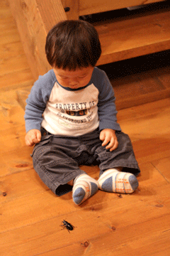 f0107364_1541394.gif