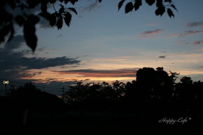 梅雨の合間の夕焼け空_e0148667_1601732.jpg