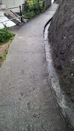 c0127670_412463.jpg