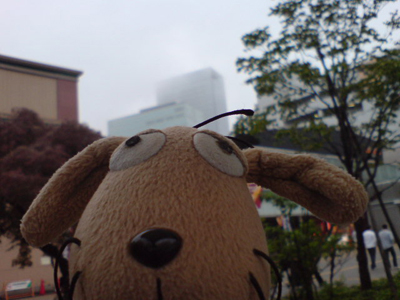 c0158573_13555637.jpg