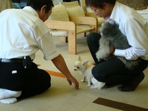 第３回ペット勉強会をいたしました_b0185375_7234976.jpg