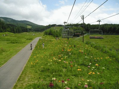 c0155576_21332942.gif