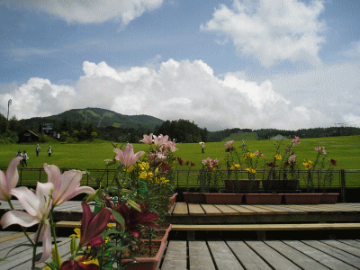 c0155576_2133547.gif