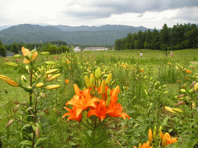 c0155576_21341697.gif