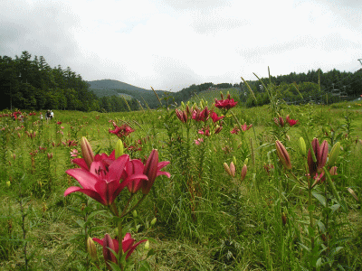 c0155576_2134334.gif
