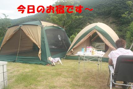 c0174077_7483140.jpg