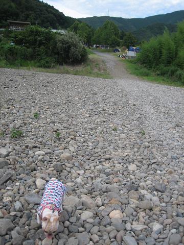 c0174077_7553265.jpg